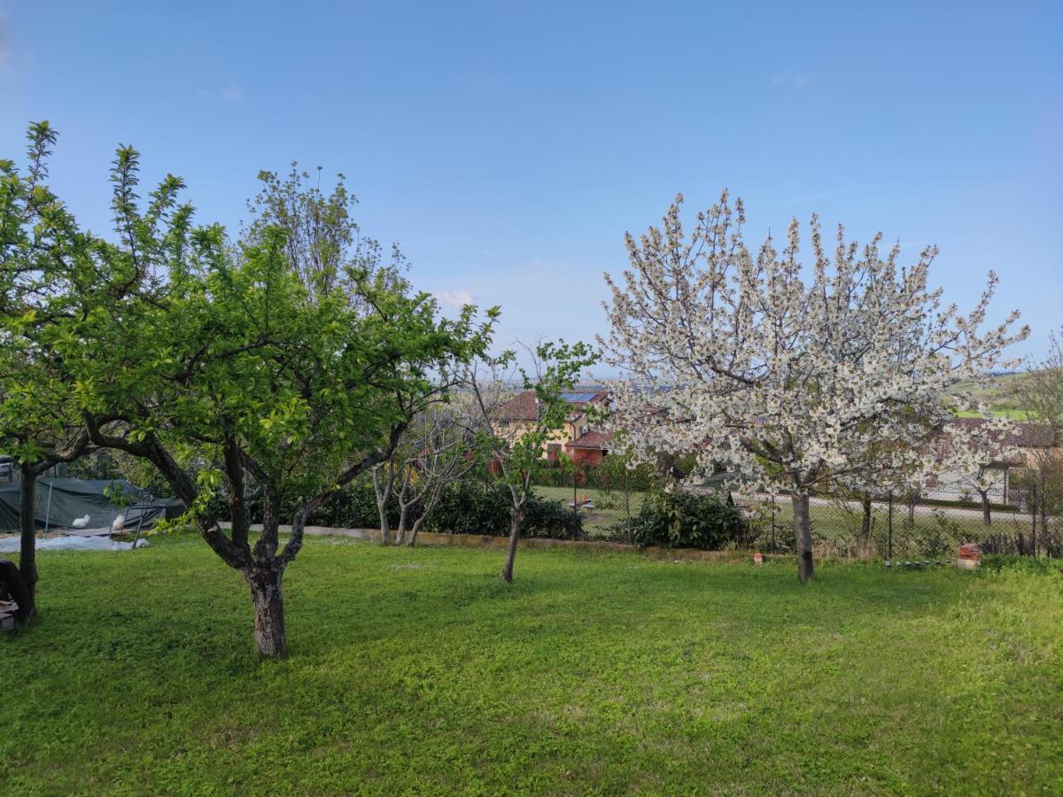 Relax In Collina A Due Passi Dal Mare Διαμέρισμα Torriana Εξωτερικό φωτογραφία